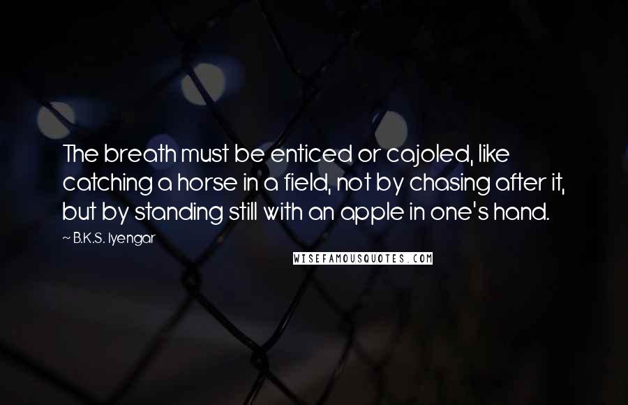 B.K.S. Iyengar Quotes: The breath must be enticed or cajoled, like catching a horse in a field, not by chasing after it, but by standing still with an apple in one's hand.