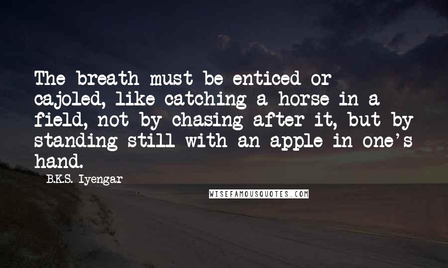 B.K.S. Iyengar Quotes: The breath must be enticed or cajoled, like catching a horse in a field, not by chasing after it, but by standing still with an apple in one's hand.