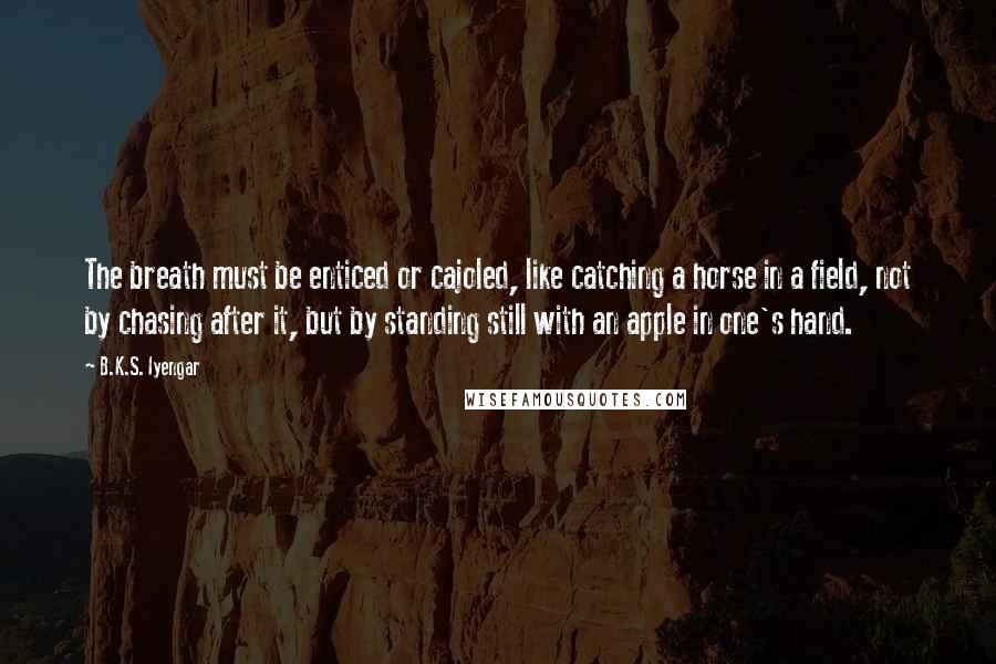 B.K.S. Iyengar Quotes: The breath must be enticed or cajoled, like catching a horse in a field, not by chasing after it, but by standing still with an apple in one's hand.
