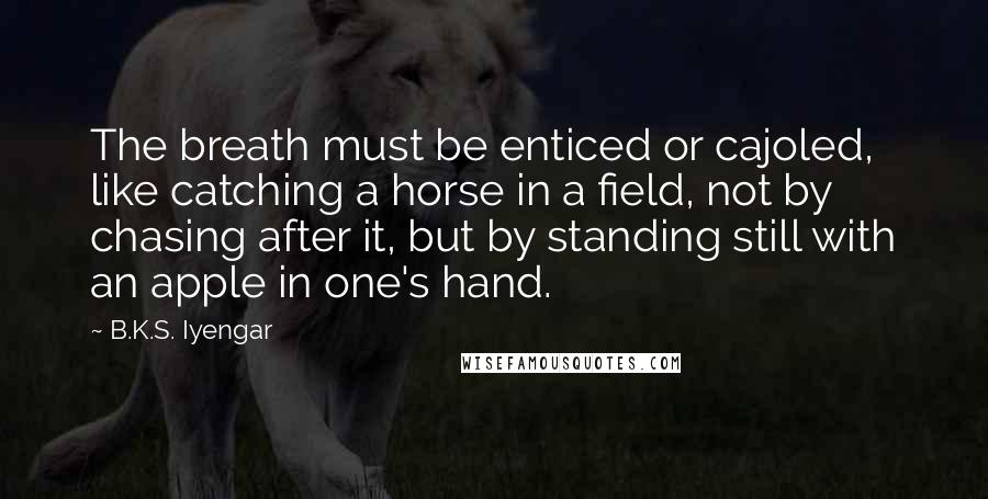 B.K.S. Iyengar Quotes: The breath must be enticed or cajoled, like catching a horse in a field, not by chasing after it, but by standing still with an apple in one's hand.