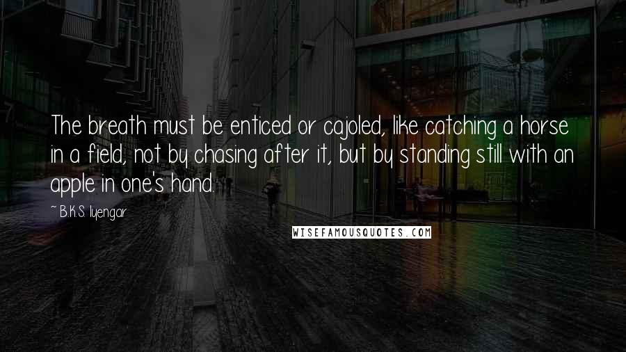 B.K.S. Iyengar Quotes: The breath must be enticed or cajoled, like catching a horse in a field, not by chasing after it, but by standing still with an apple in one's hand.