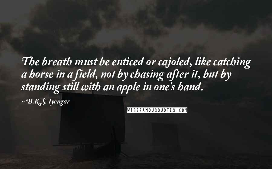 B.K.S. Iyengar Quotes: The breath must be enticed or cajoled, like catching a horse in a field, not by chasing after it, but by standing still with an apple in one's hand.