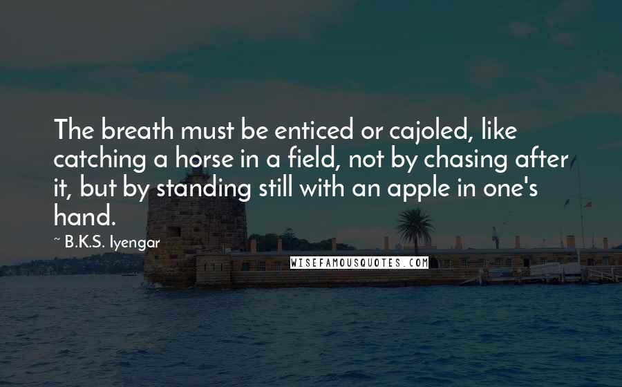 B.K.S. Iyengar Quotes: The breath must be enticed or cajoled, like catching a horse in a field, not by chasing after it, but by standing still with an apple in one's hand.