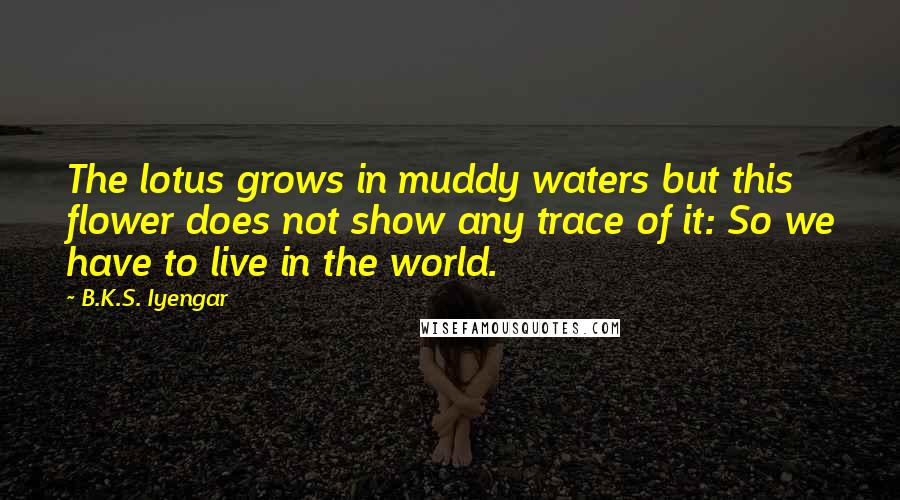 B.K.S. Iyengar Quotes: The lotus grows in muddy waters but this flower does not show any trace of it: So we have to live in the world.