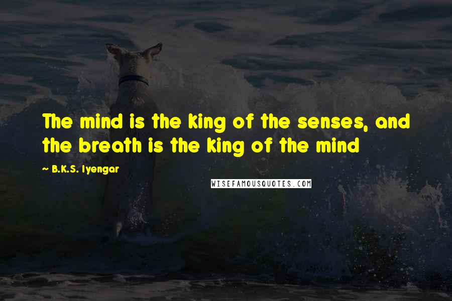 B.K.S. Iyengar Quotes: The mind is the king of the senses, and the breath is the king of the mind