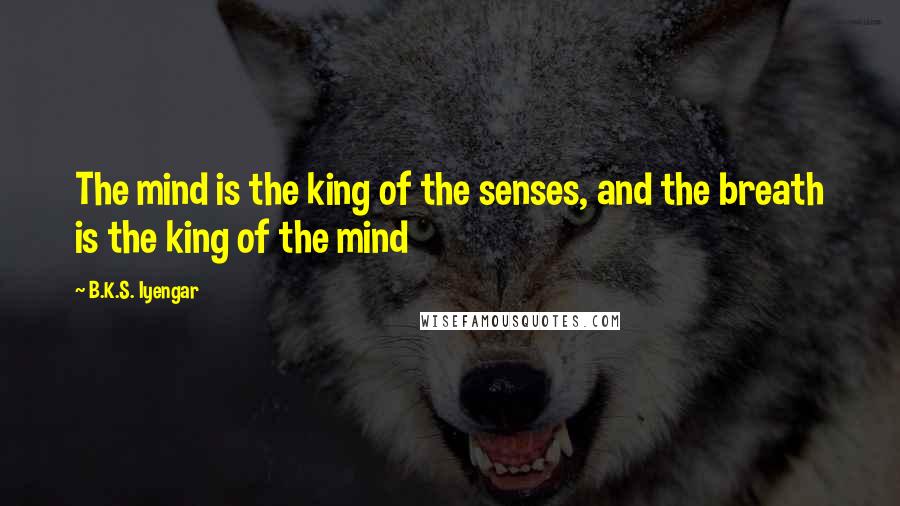 B.K.S. Iyengar Quotes: The mind is the king of the senses, and the breath is the king of the mind