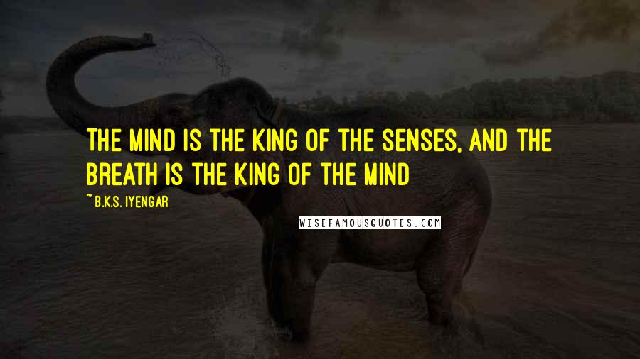 B.K.S. Iyengar Quotes: The mind is the king of the senses, and the breath is the king of the mind