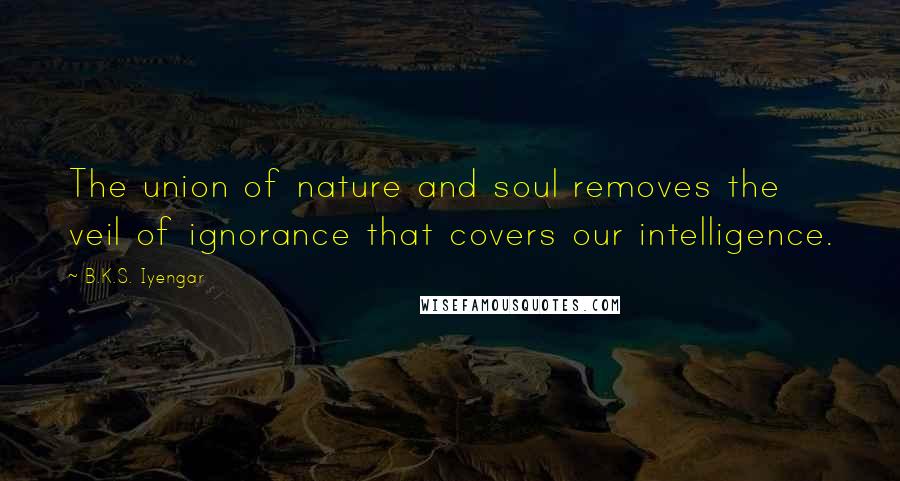 B.K.S. Iyengar Quotes: The union of nature and soul removes the veil of ignorance that covers our intelligence.