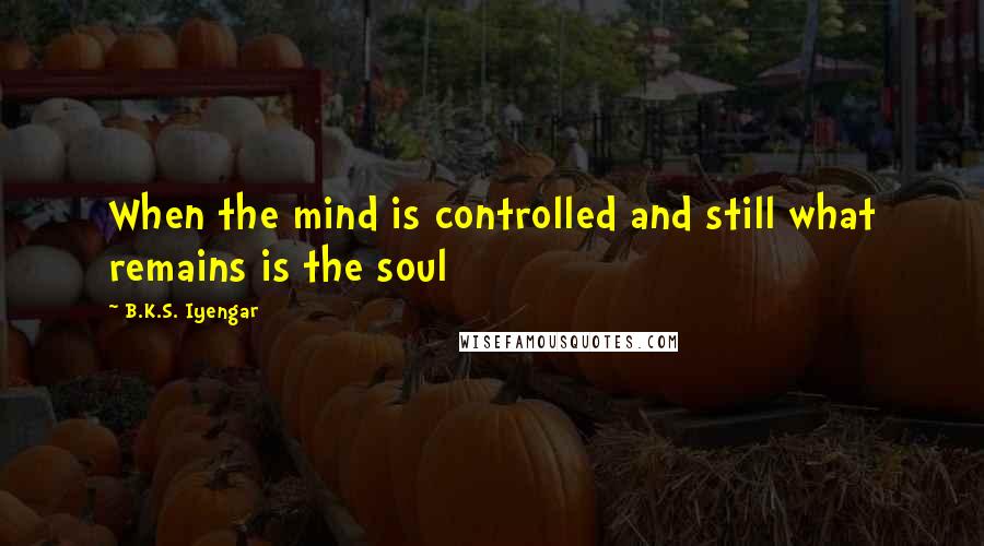 B.K.S. Iyengar Quotes: When the mind is controlled and still what remains is the soul