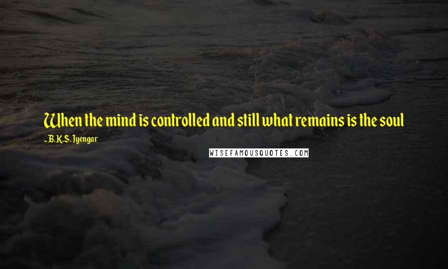 B.K.S. Iyengar Quotes: When the mind is controlled and still what remains is the soul
