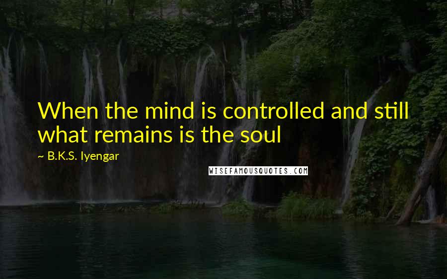 B.K.S. Iyengar Quotes: When the mind is controlled and still what remains is the soul