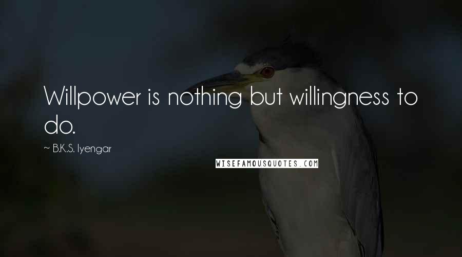 B.K.S. Iyengar Quotes: Willpower is nothing but willingness to do.