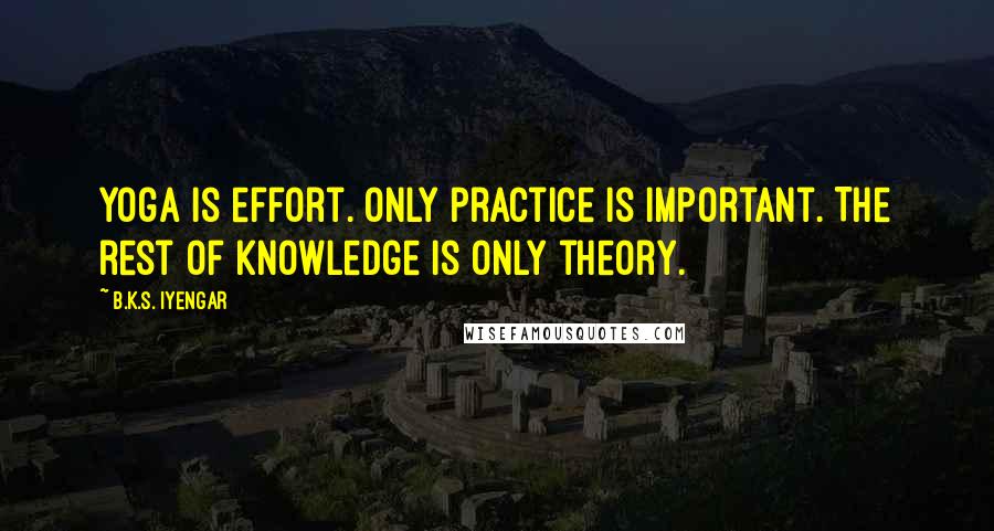 B.K.S. Iyengar Quotes: Yoga is effort. Only practice is important. The rest of knowledge is only theory.