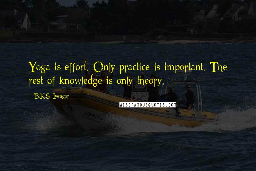 B.K.S. Iyengar Quotes: Yoga is effort. Only practice is important. The rest of knowledge is only theory.