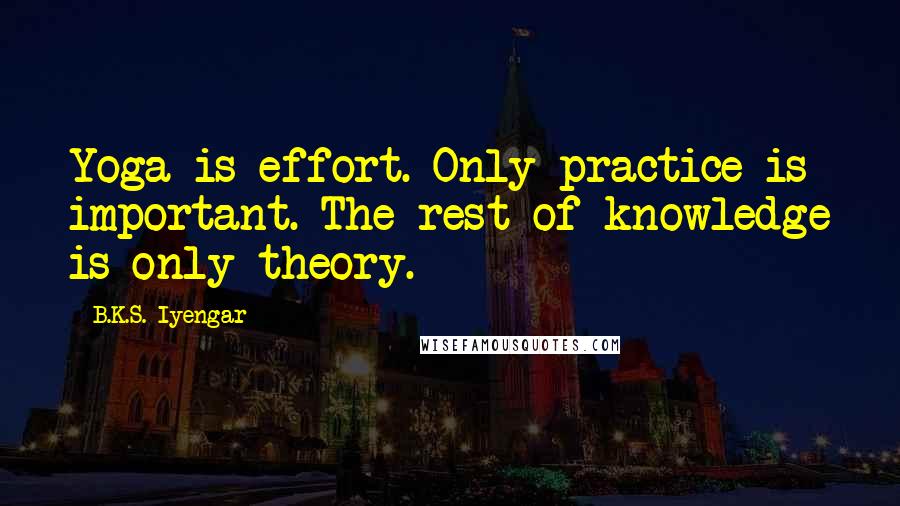B.K.S. Iyengar Quotes: Yoga is effort. Only practice is important. The rest of knowledge is only theory.