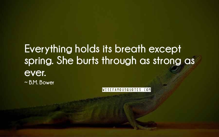 B.M. Bower Quotes: Everything holds its breath except spring. She burts through as strong as ever.