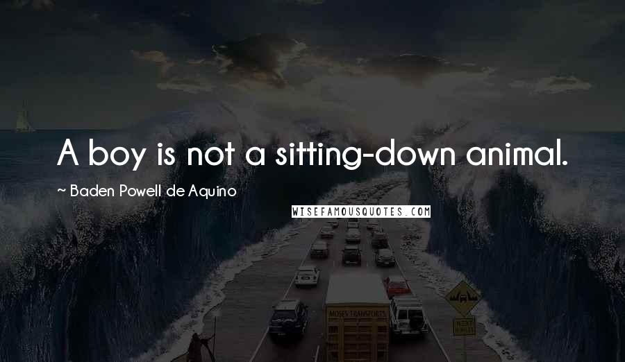 Baden Powell De Aquino Quotes: A boy is not a sitting-down animal.