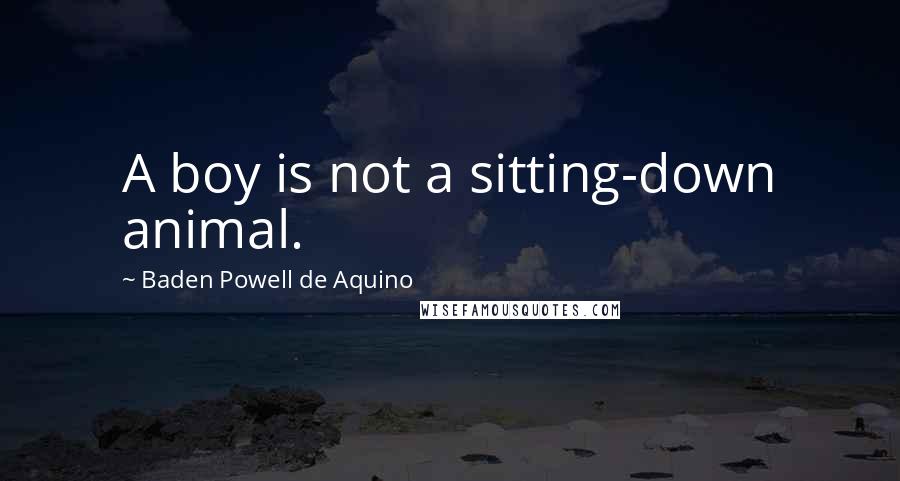 Baden Powell De Aquino Quotes: A boy is not a sitting-down animal.