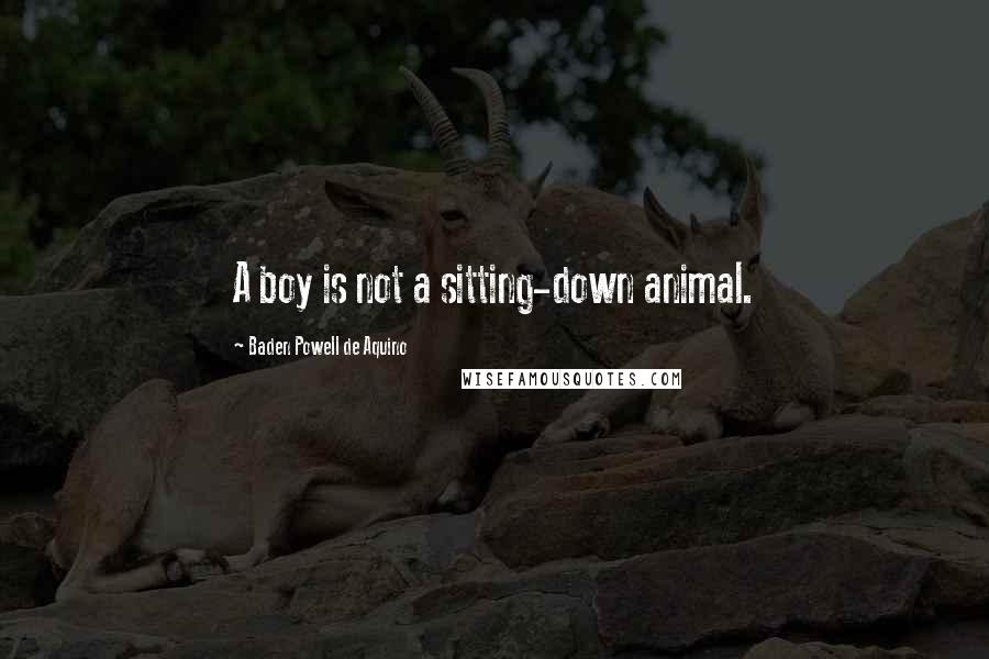 Baden Powell De Aquino Quotes: A boy is not a sitting-down animal.