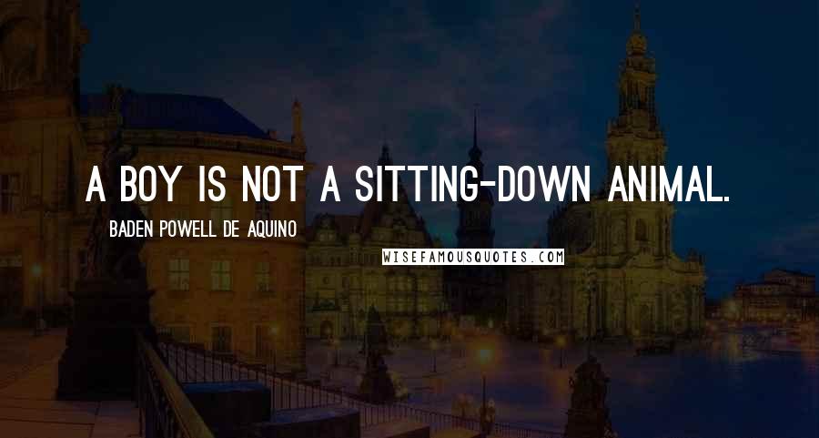 Baden Powell De Aquino Quotes: A boy is not a sitting-down animal.