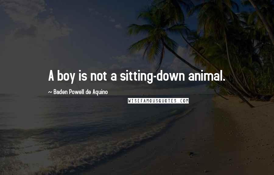 Baden Powell De Aquino Quotes: A boy is not a sitting-down animal.