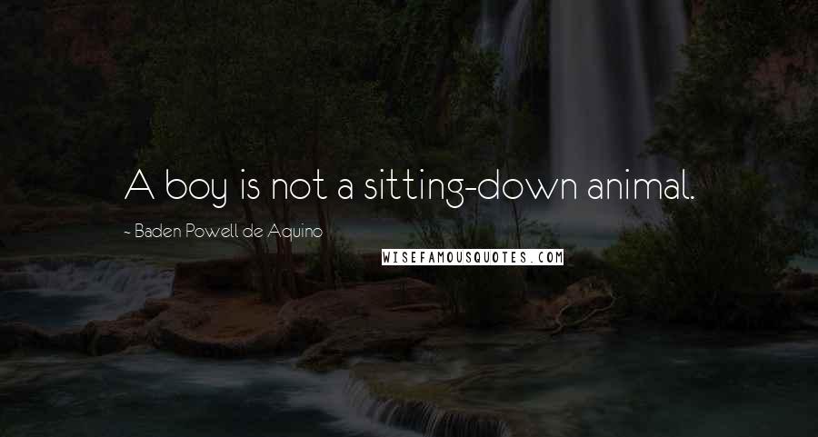 Baden Powell De Aquino Quotes: A boy is not a sitting-down animal.