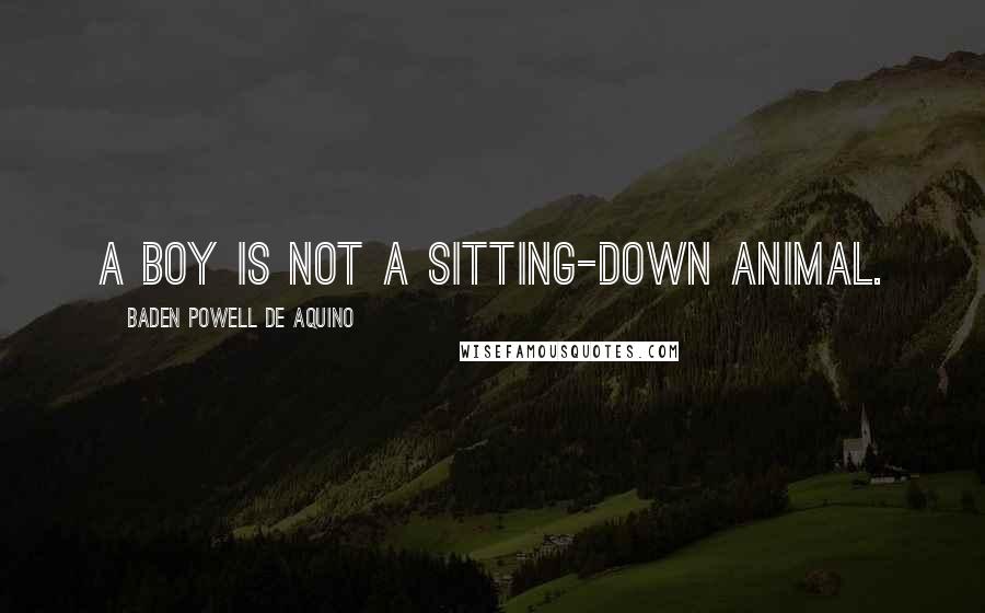 Baden Powell De Aquino Quotes: A boy is not a sitting-down animal.