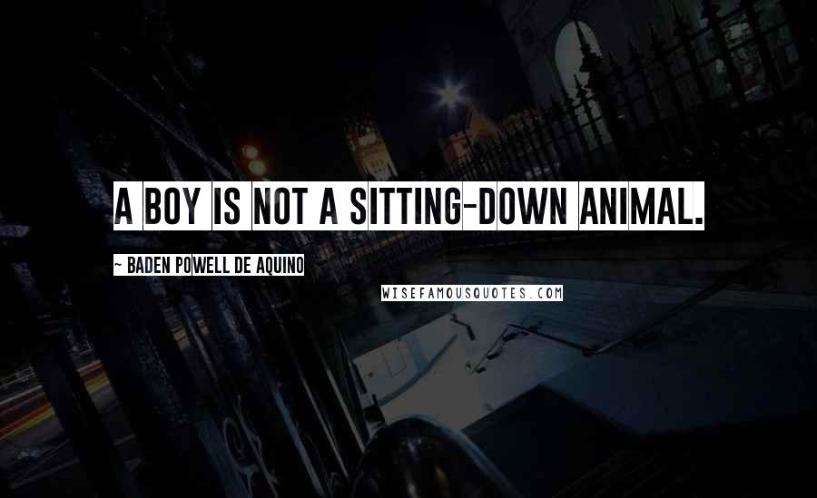 Baden Powell De Aquino Quotes: A boy is not a sitting-down animal.