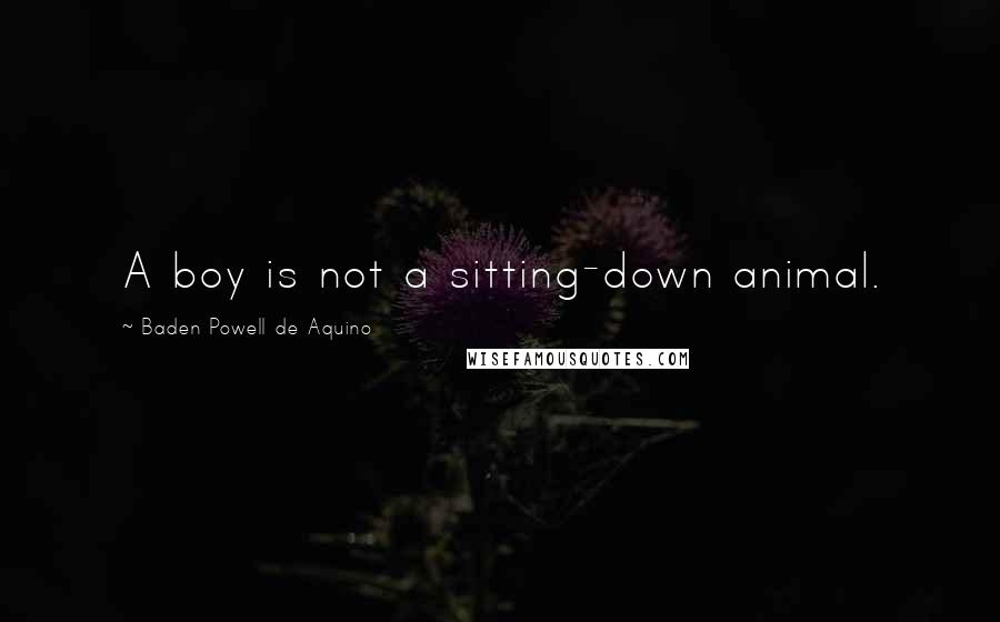 Baden Powell De Aquino Quotes: A boy is not a sitting-down animal.