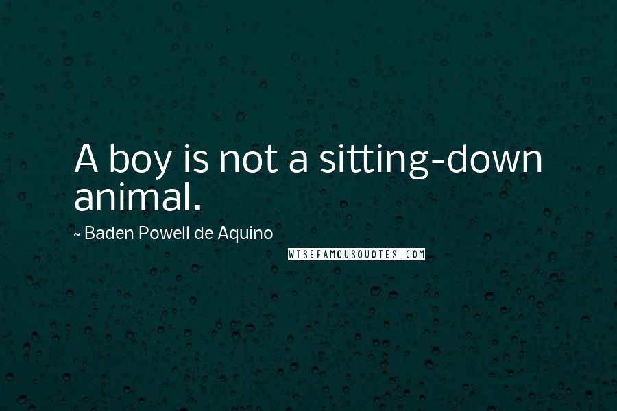 Baden Powell De Aquino Quotes: A boy is not a sitting-down animal.