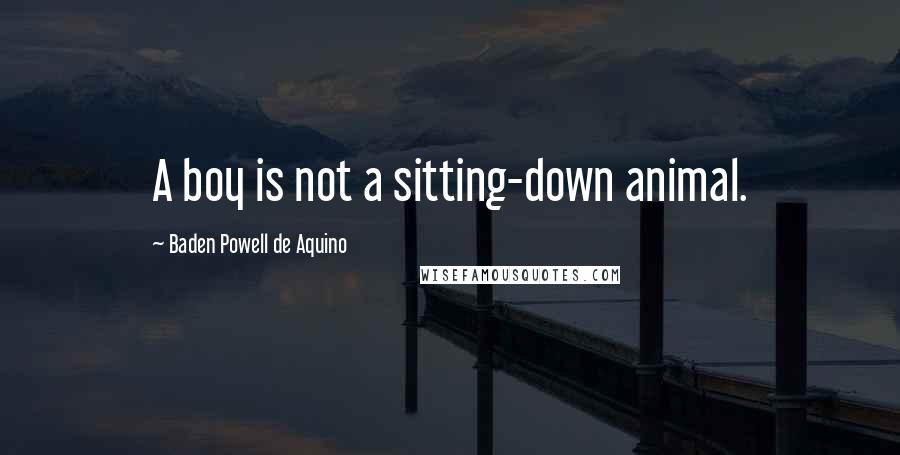 Baden Powell De Aquino Quotes: A boy is not a sitting-down animal.