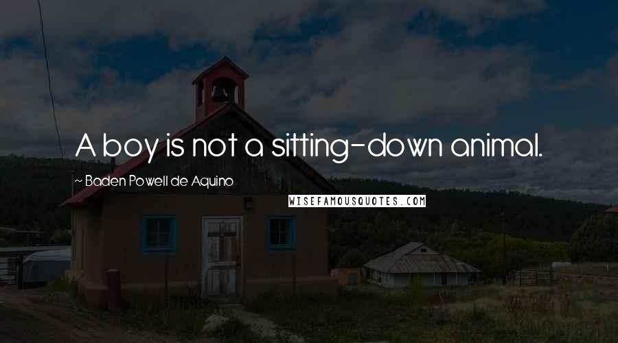 Baden Powell De Aquino Quotes: A boy is not a sitting-down animal.