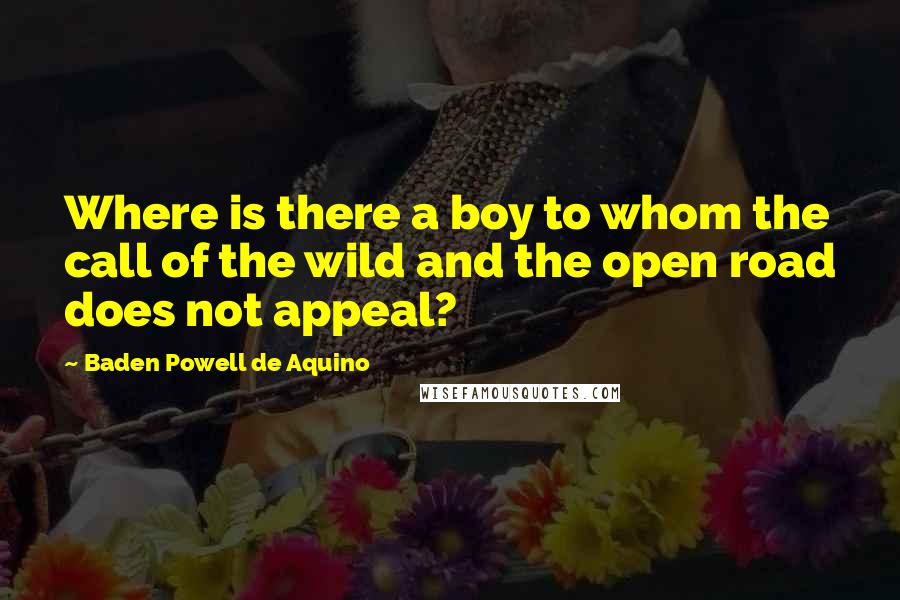 Baden Powell De Aquino Quotes: Where is there a boy to whom the call of the wild and the open road does not appeal?