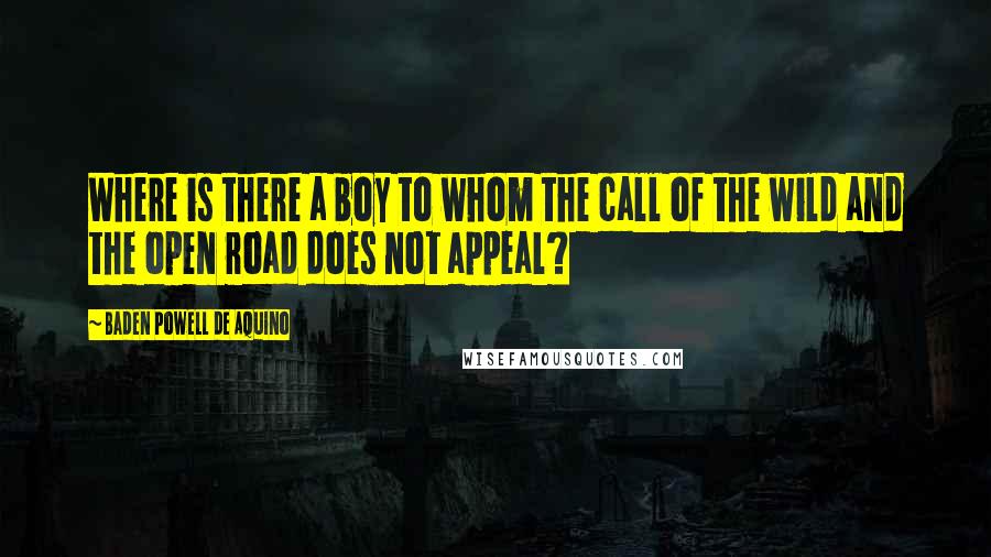 Baden Powell De Aquino Quotes: Where is there a boy to whom the call of the wild and the open road does not appeal?