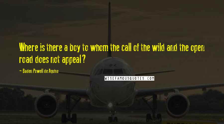 Baden Powell De Aquino Quotes: Where is there a boy to whom the call of the wild and the open road does not appeal?