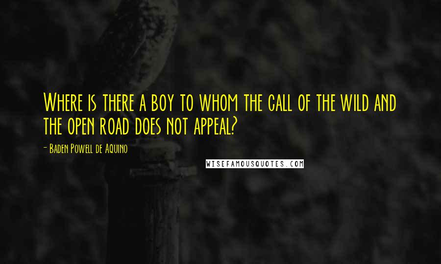 Baden Powell De Aquino Quotes: Where is there a boy to whom the call of the wild and the open road does not appeal?