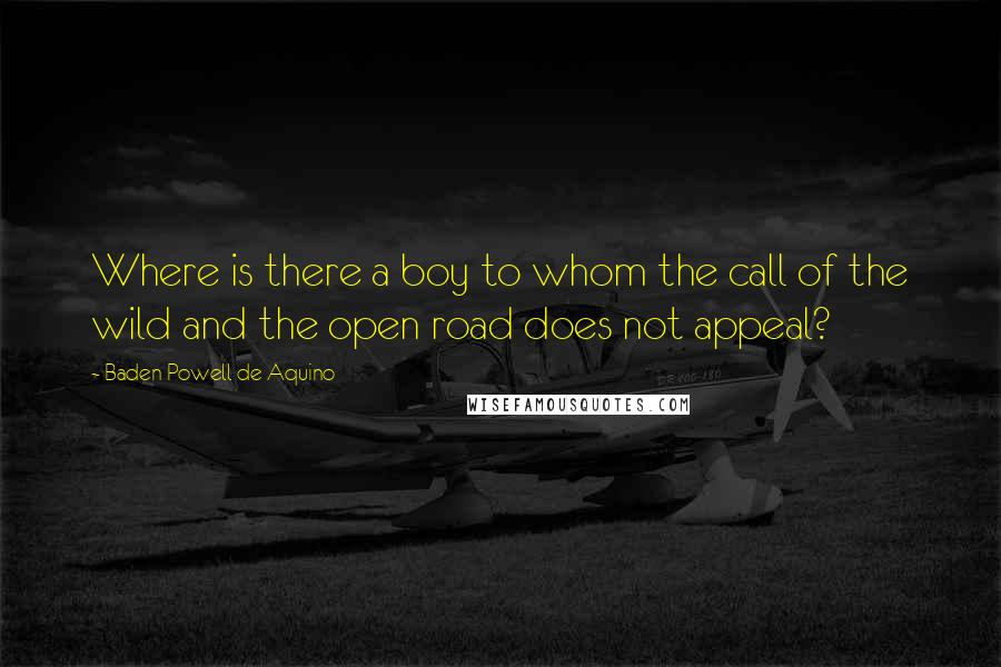 Baden Powell De Aquino Quotes: Where is there a boy to whom the call of the wild and the open road does not appeal?