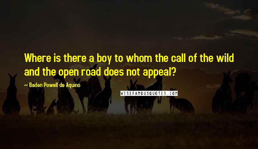 Baden Powell De Aquino Quotes: Where is there a boy to whom the call of the wild and the open road does not appeal?