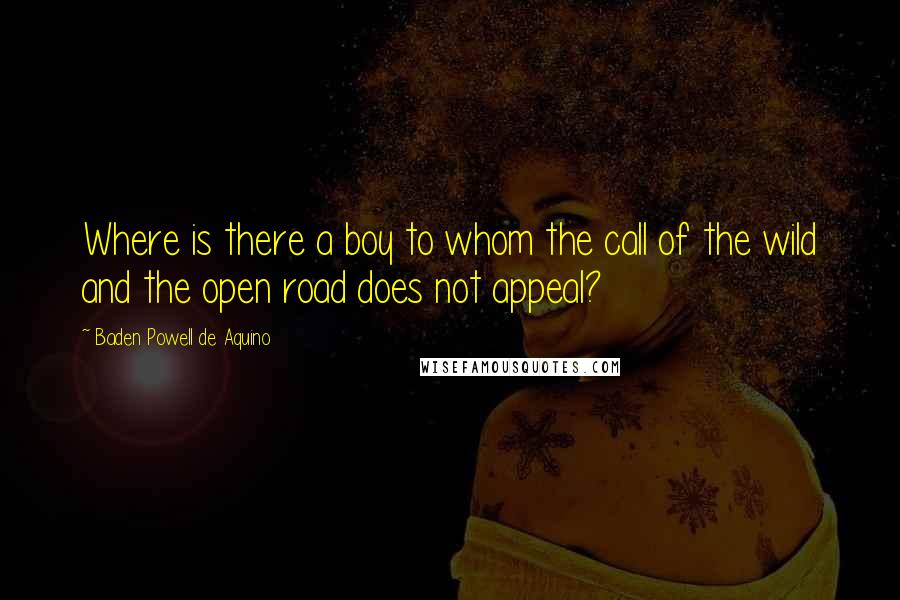 Baden Powell De Aquino Quotes: Where is there a boy to whom the call of the wild and the open road does not appeal?