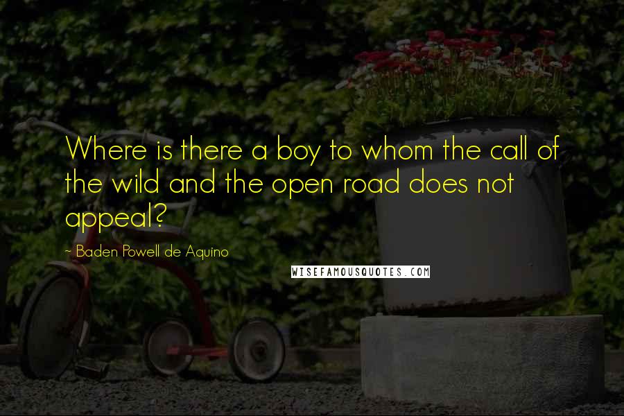 Baden Powell De Aquino Quotes: Where is there a boy to whom the call of the wild and the open road does not appeal?