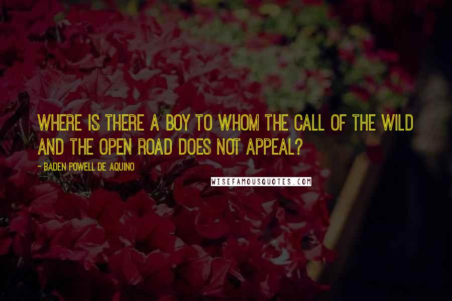 Baden Powell De Aquino Quotes: Where is there a boy to whom the call of the wild and the open road does not appeal?