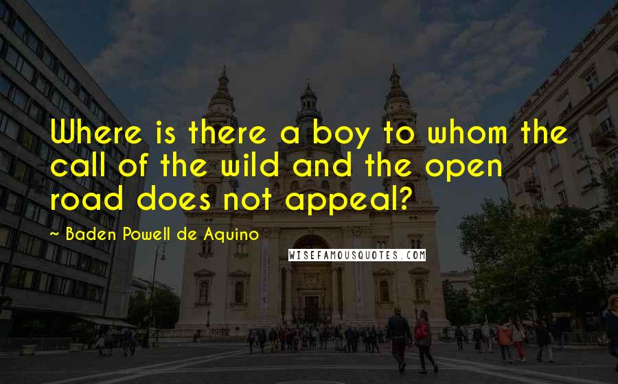 Baden Powell De Aquino Quotes: Where is there a boy to whom the call of the wild and the open road does not appeal?