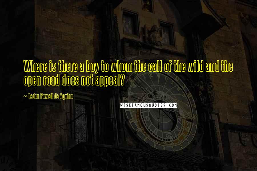 Baden Powell De Aquino Quotes: Where is there a boy to whom the call of the wild and the open road does not appeal?