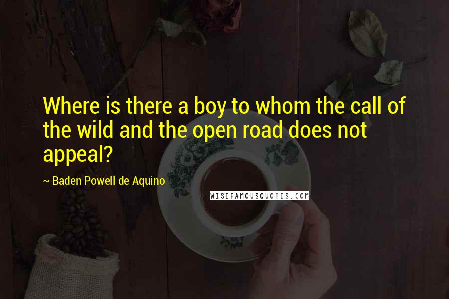 Baden Powell De Aquino Quotes: Where is there a boy to whom the call of the wild and the open road does not appeal?