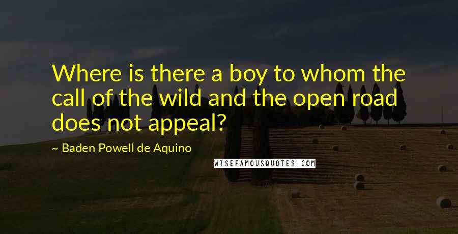 Baden Powell De Aquino Quotes: Where is there a boy to whom the call of the wild and the open road does not appeal?