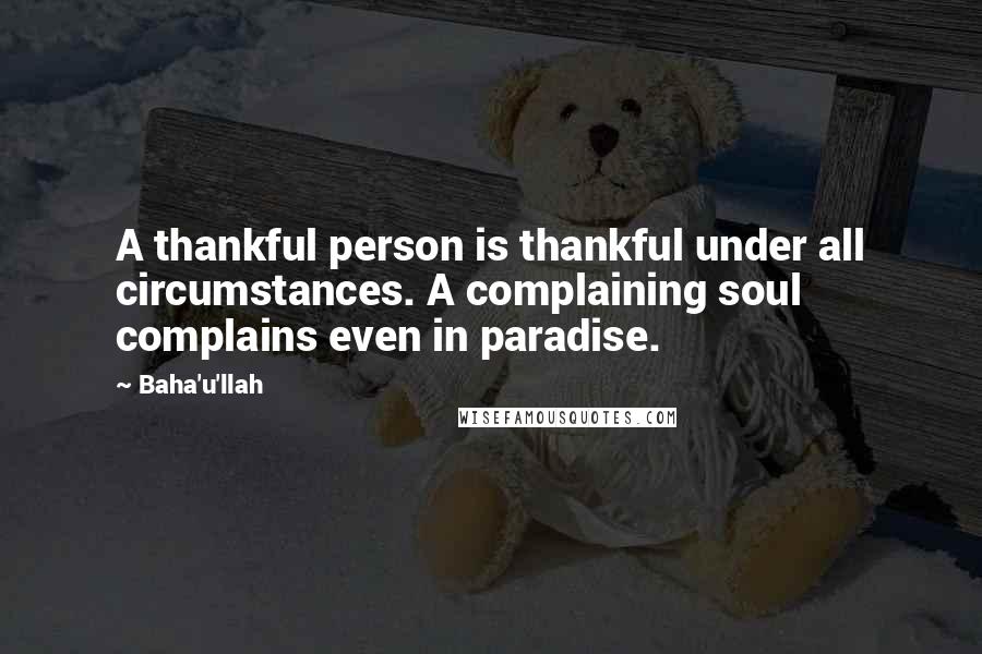 Baha'u'llah Quotes: A thankful person is thankful under all circumstances. A complaining soul complains even in paradise.