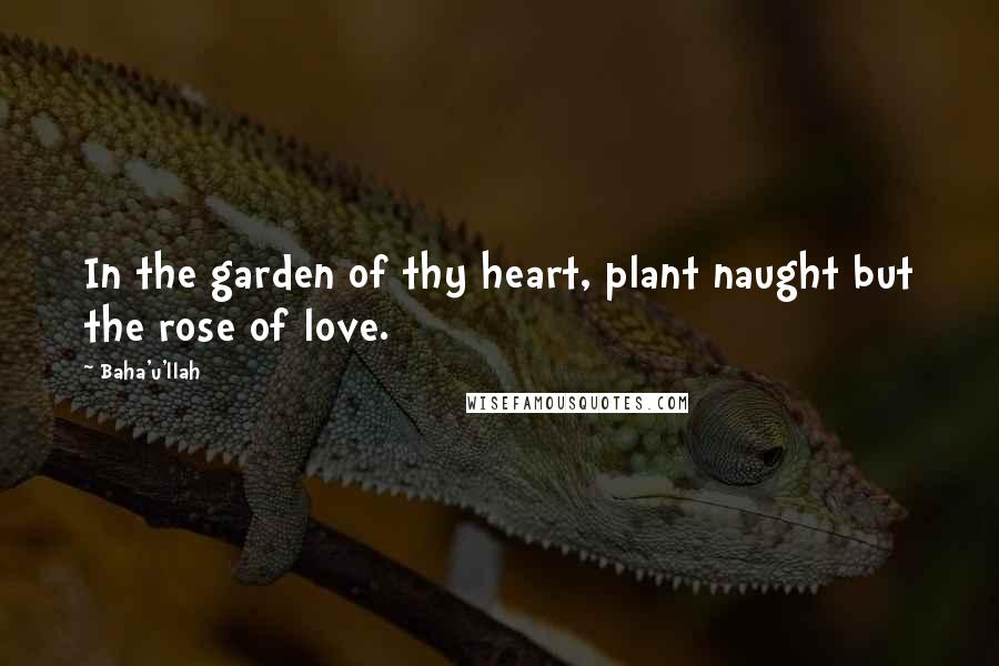 Baha'u'llah Quotes: In the garden of thy heart, plant naught but the rose of love.