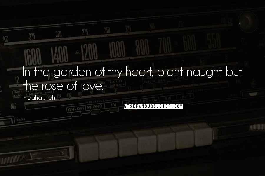 Baha'u'llah Quotes: In the garden of thy heart, plant naught but the rose of love.