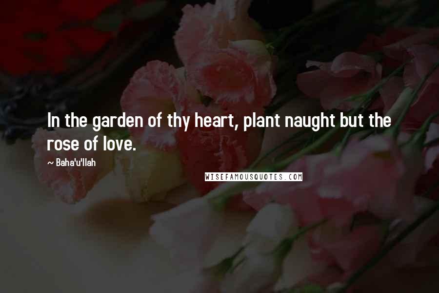 Baha'u'llah Quotes: In the garden of thy heart, plant naught but the rose of love.