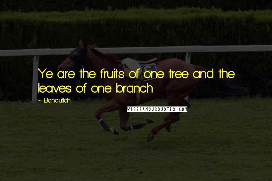 Baha'u'llah Quotes: Ye are the fruits of one tree and the leaves of one branch.